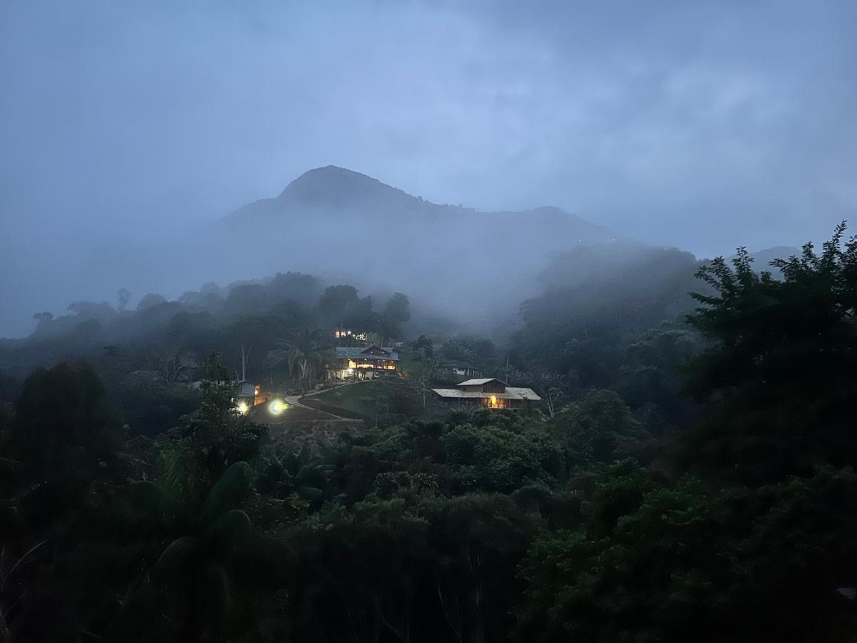 Zyaarat - Conforto E Cultura Em Sao Pedro Da Serra * Nova Friburgo